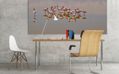 Fotografie Flamingos im See mit Spiegelbild auf Leinwand in Übergröße an der Wand hinter einem Schreibtisch